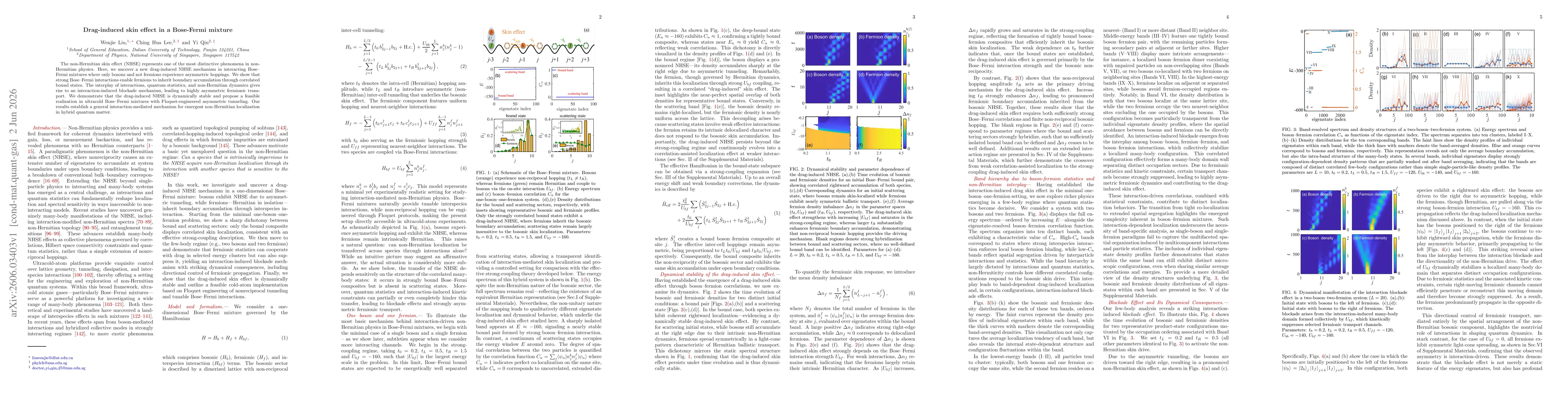 Thumbnail for Drag-induced skin effect in a Bose-Fermi mixture