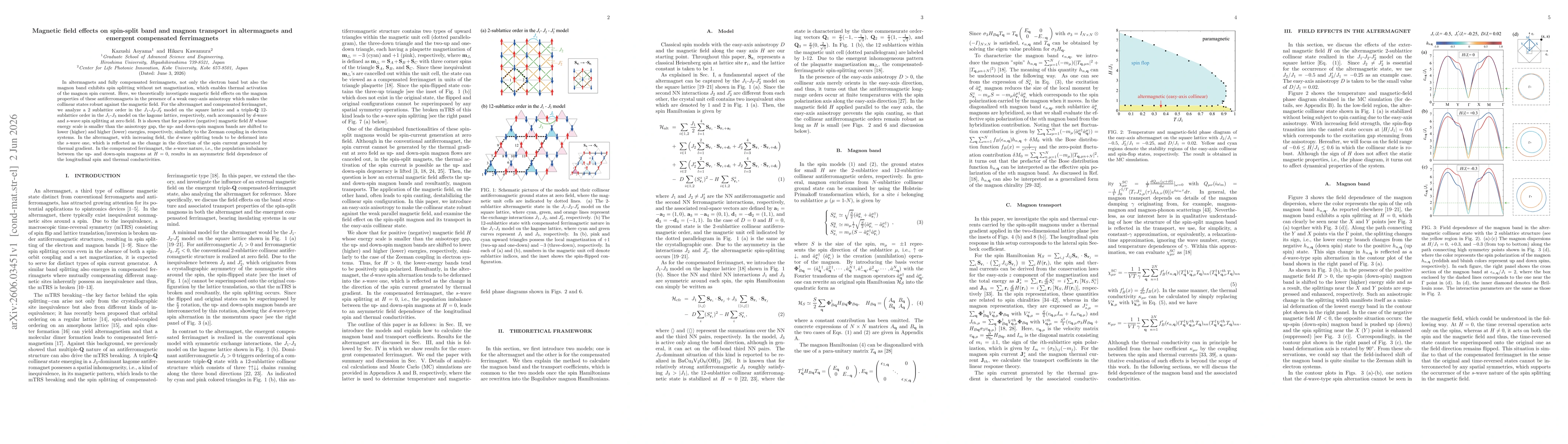 Thumbnail for Magnetic field effects on spin-split band and magnon transport in altermagnets and emergent compensated ferrimagnets