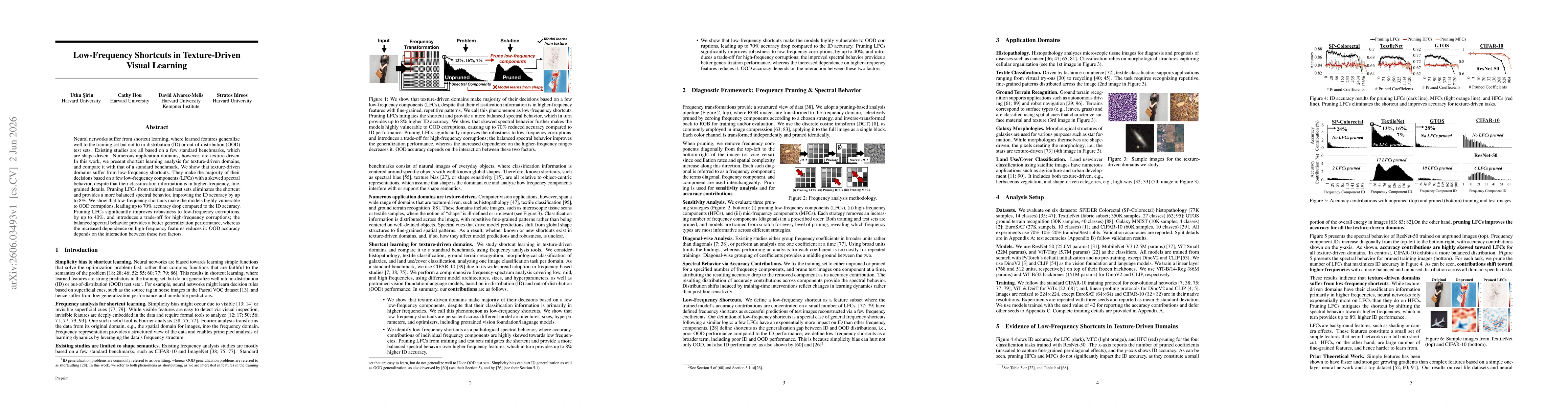 Thumbnail for Low-Frequency Shortcuts in Texture-Driven Visual Learning