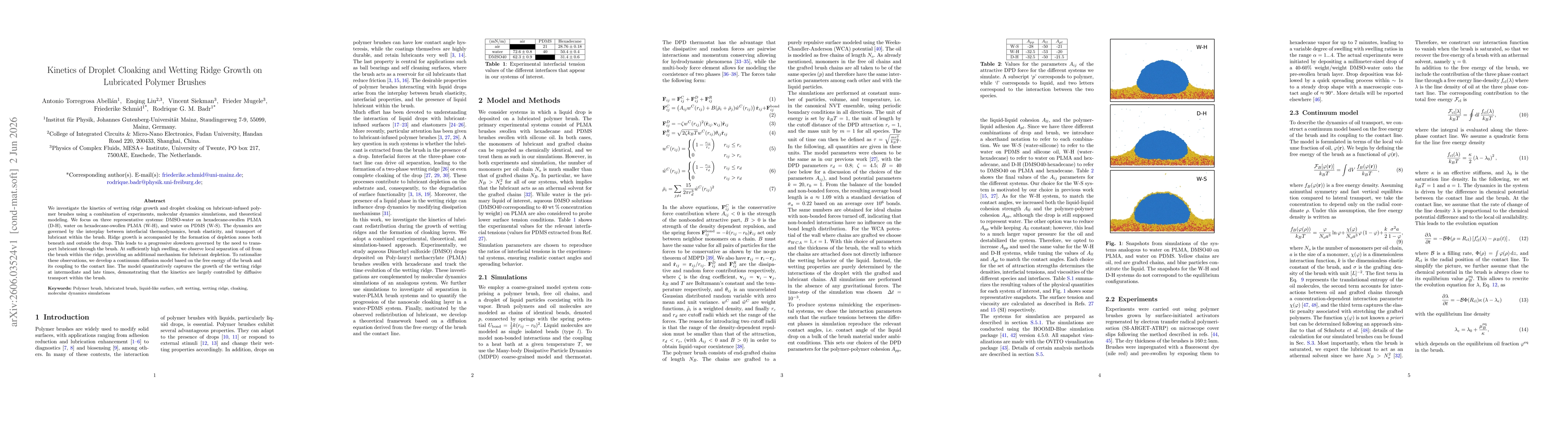 Thumbnail for Kinetics of Droplet Cloaking and Wetting Ridge Growth on Lubricated Polymer Brushes