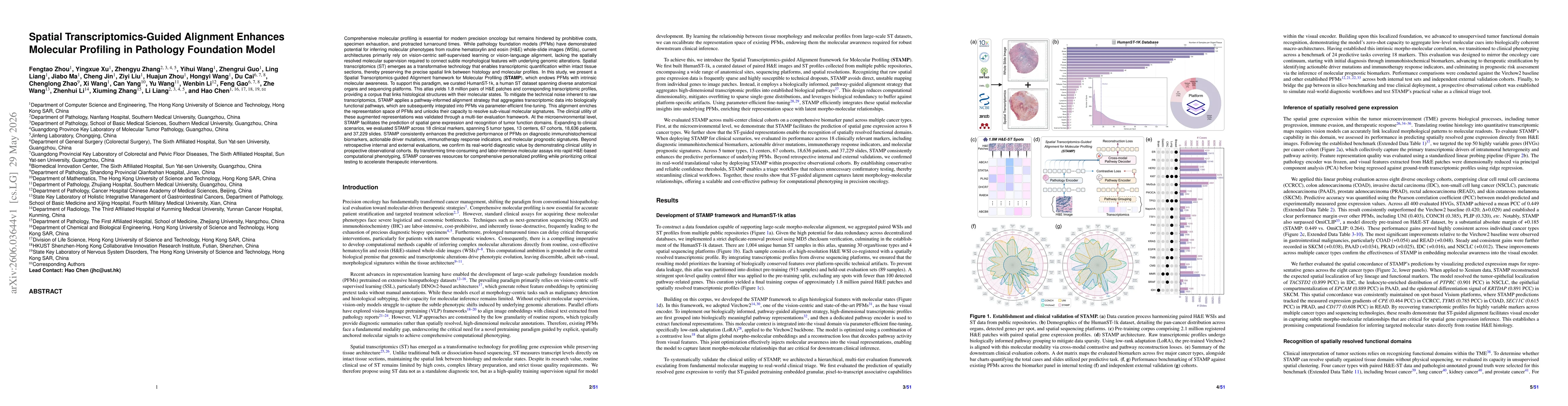 Thumbnail for Spatial Transcriptomics-Guided Alignment Enhances Molecular Profiling in Pathology Foundation Model