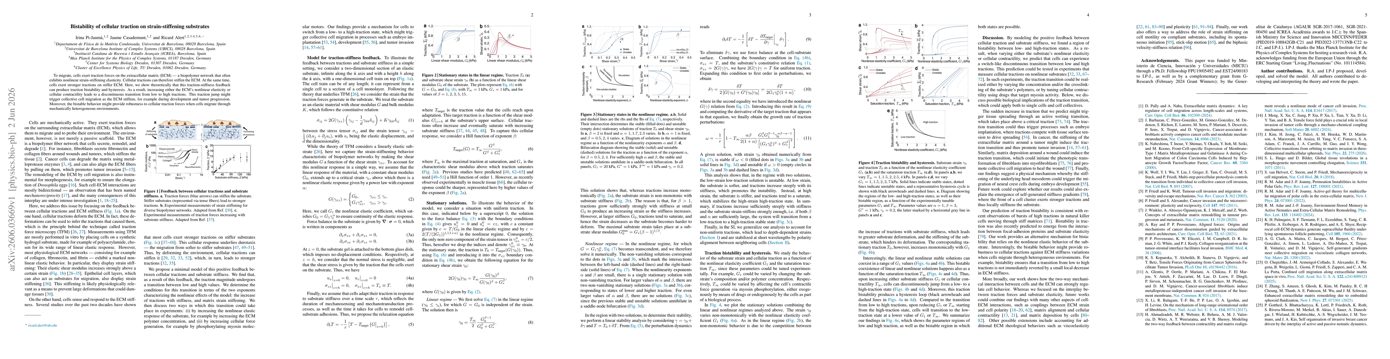 Thumbnail for Bistability of cellular traction on strain-stiffening substrates