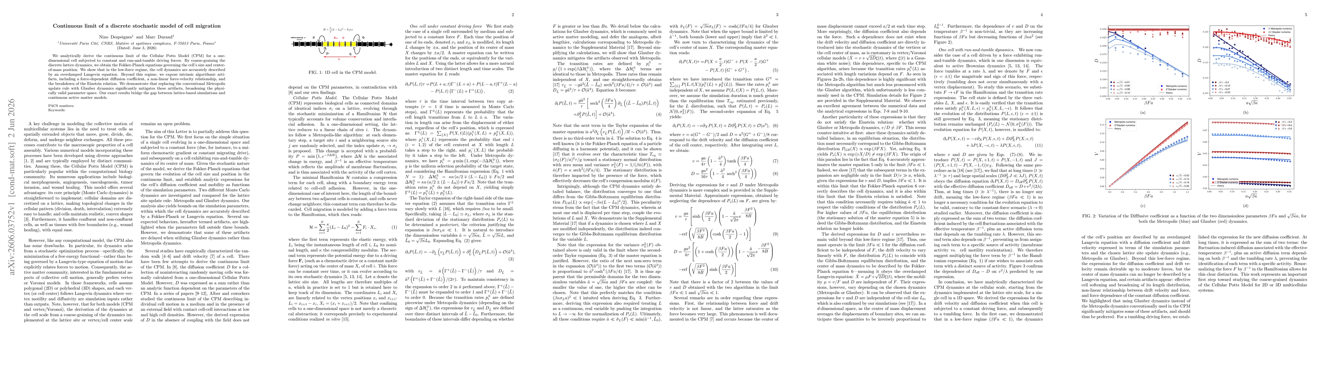 Thumbnail for Continuous limit of a discrete stochastic model of cell migration