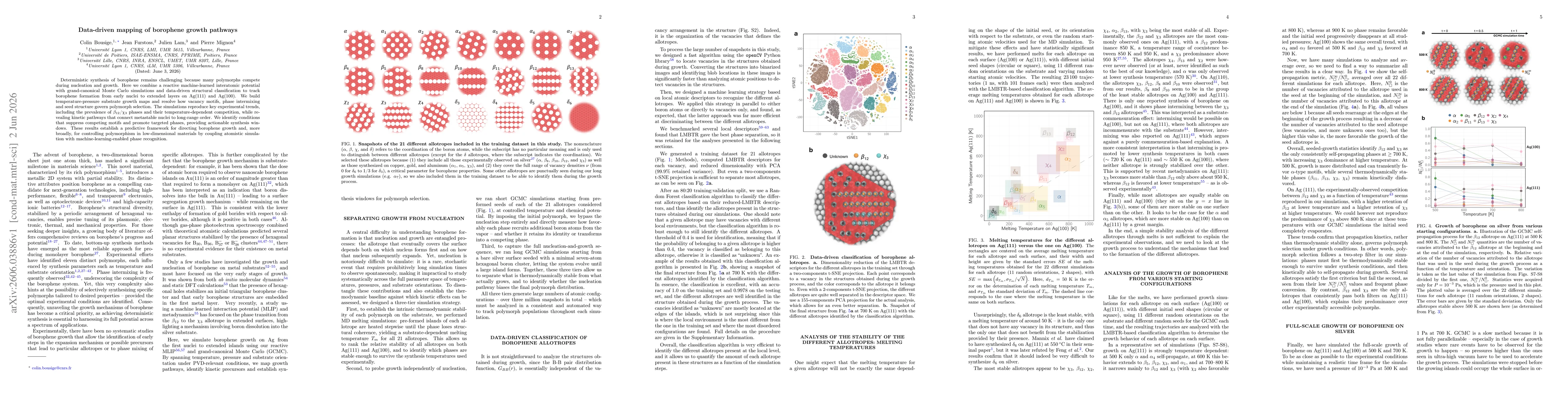 Thumbnail for Data-driven mapping of borophene growth pathways