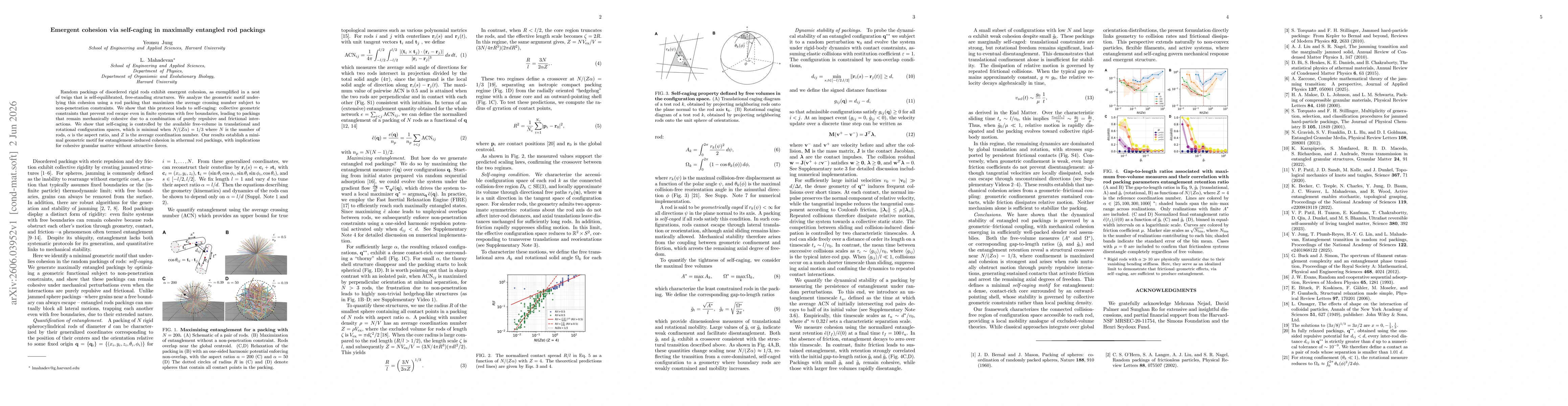 Thumbnail for Emergent cohesion via self-caging in maximally entangled rod packings