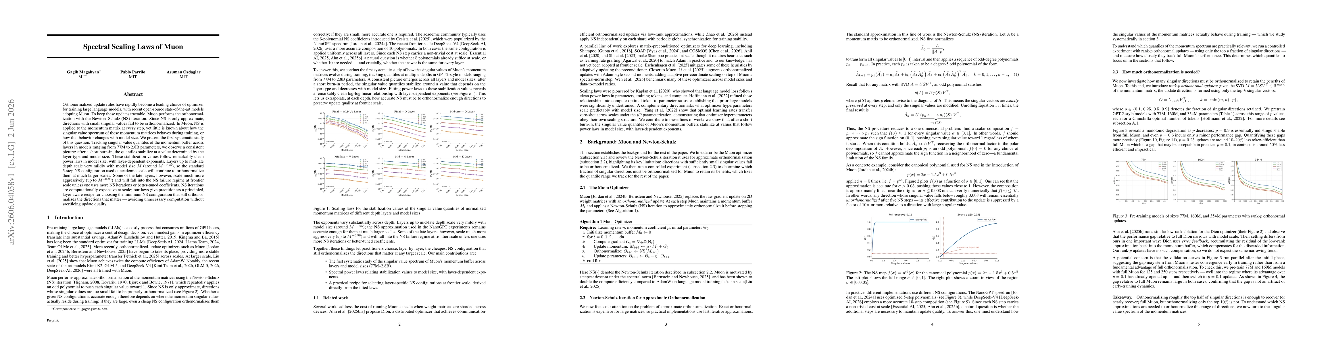 Thumbnail for Spectral Scaling Laws of Muon
