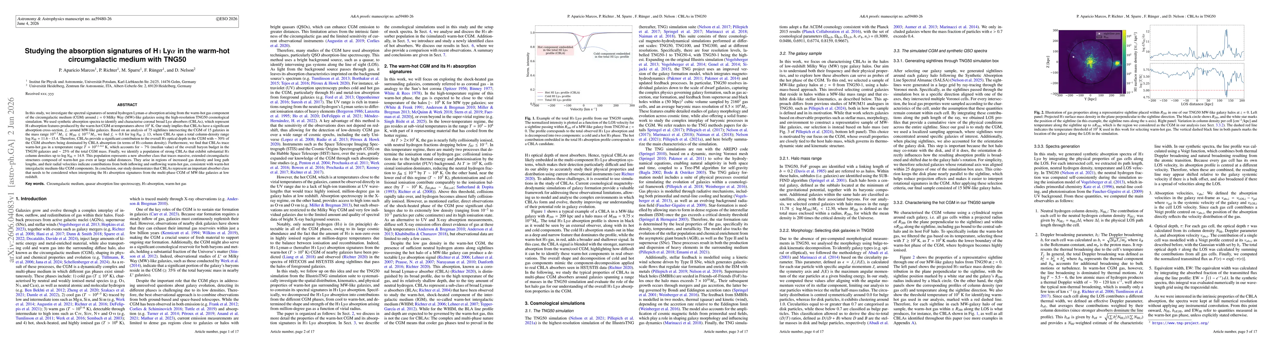 Thumbnail for Studying the absorption signatures of H I Lyman-α in the warm-hot circumgalactic medium with TNG50