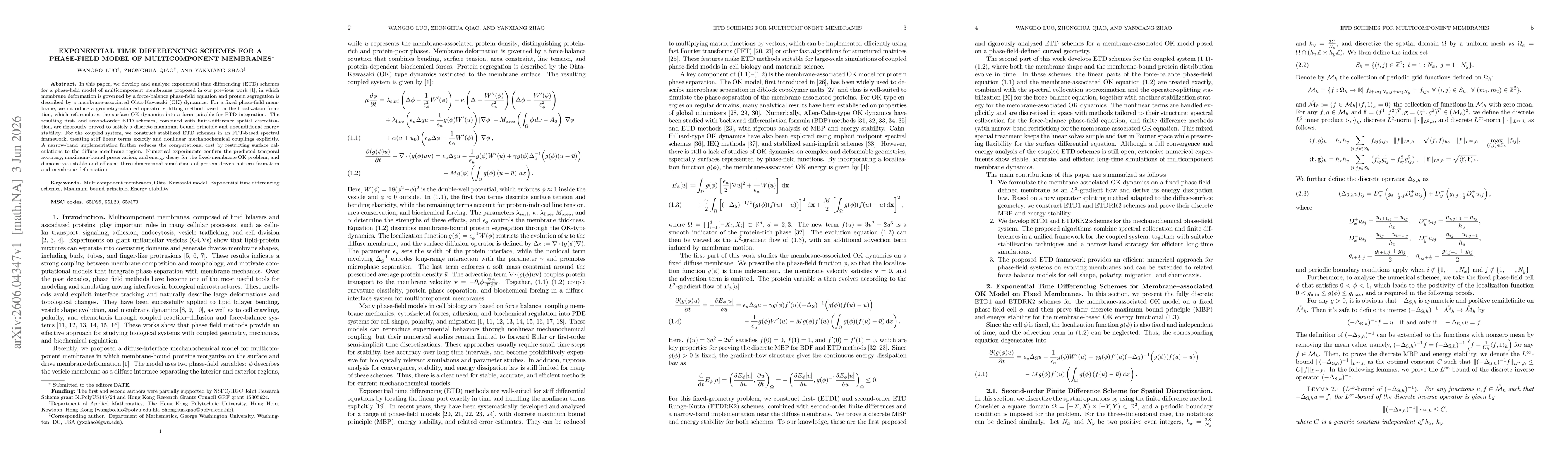 Thumbnail for Exponential Time Differencing Schemes for a Phase-Field Model of Multicomponent Membranes