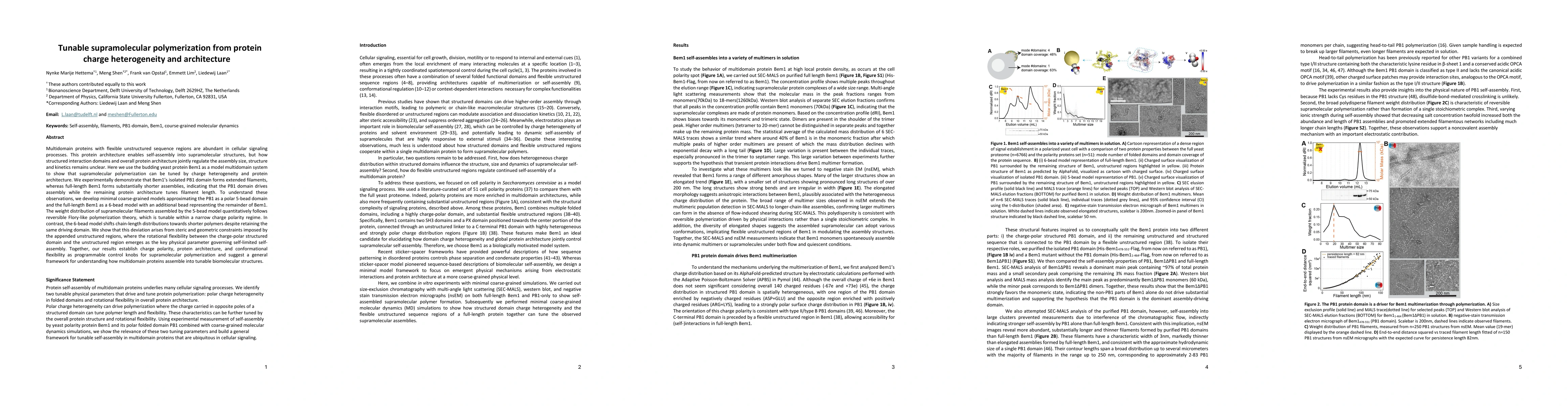 Thumbnail for Tunable supramolecular polymerization from protein charge heterogeneity and architecture