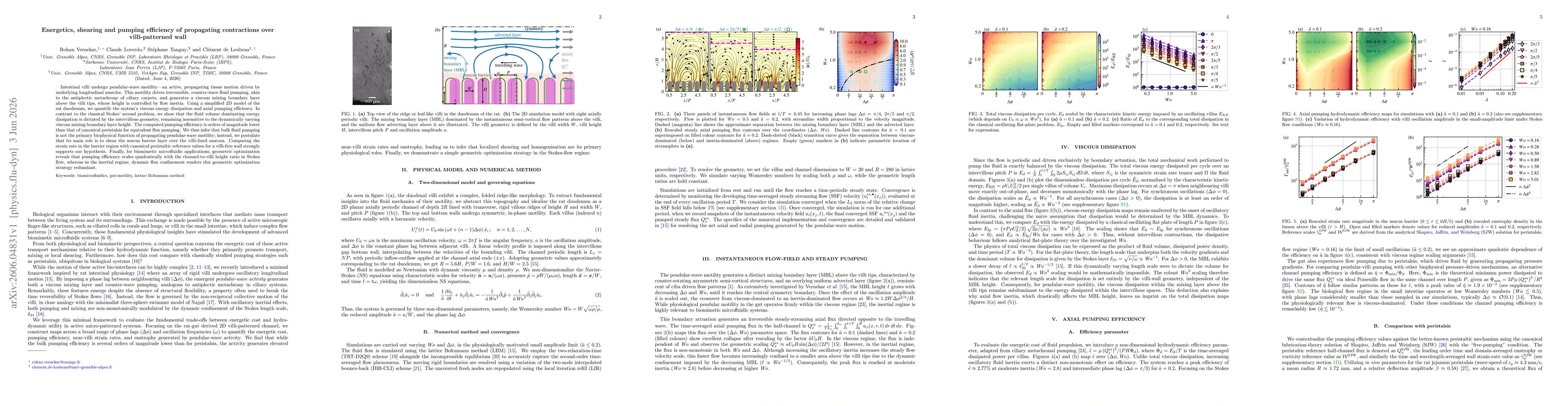 Thumbnail for Energetics, shearing and pumping efficiency of propagating contractions over villi-patterned wall