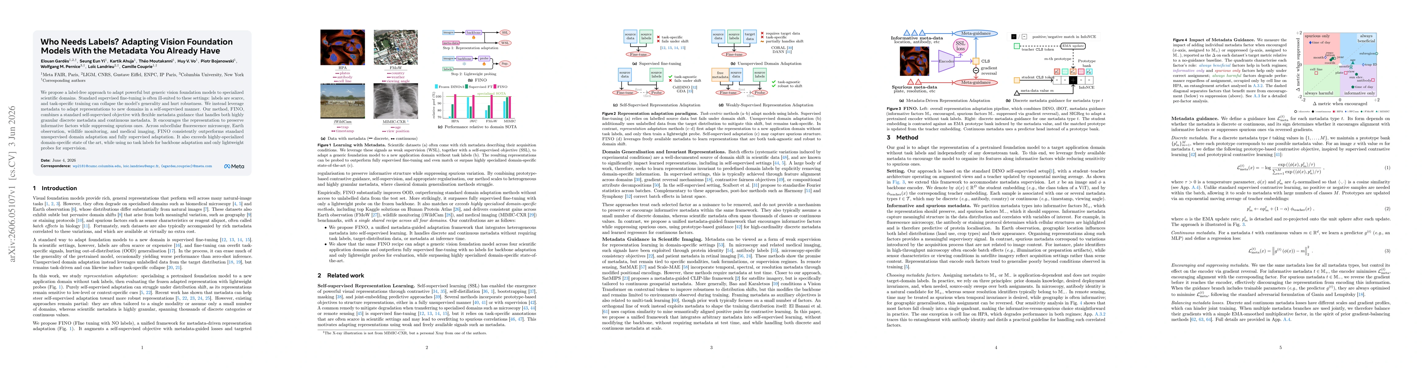 Thumbnail for Who Needs Labels? Adapting Vision Foundation Models With the Metadata You Already Have