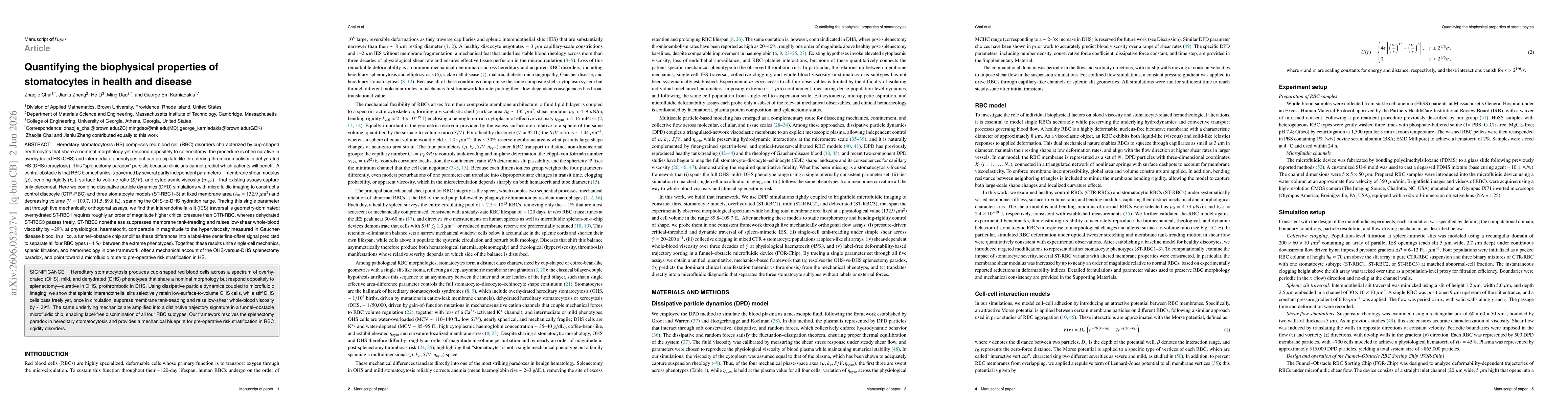 Thumbnail for Quantifying the biophysical properties of stomatocytes in health and disease