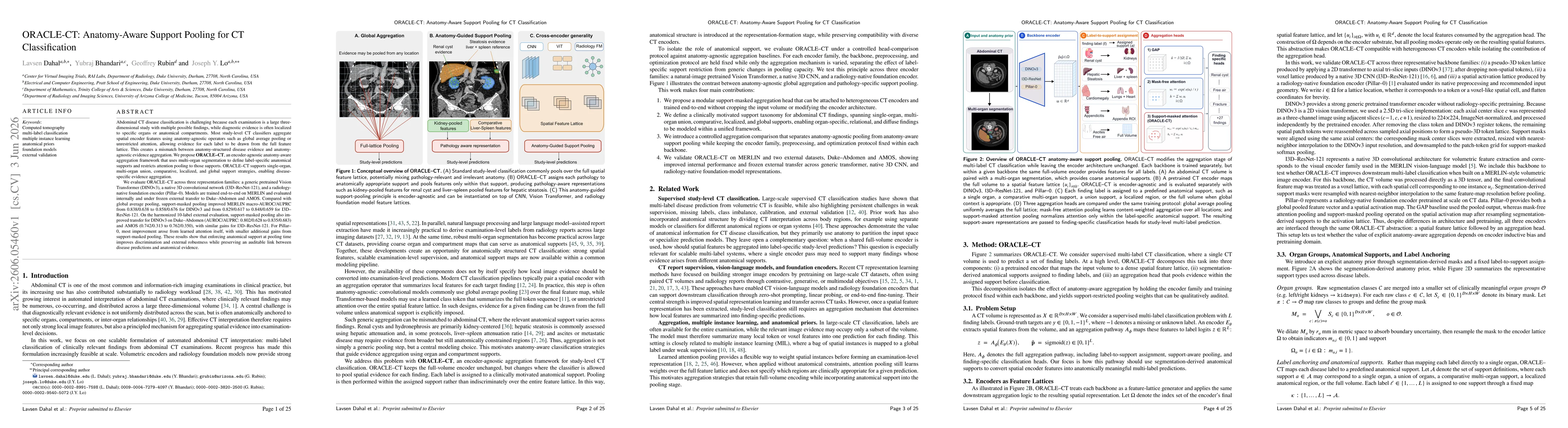 Thumbnail for ORACLE-CT: Anatomy-Aware Support Pooling for CT Classification