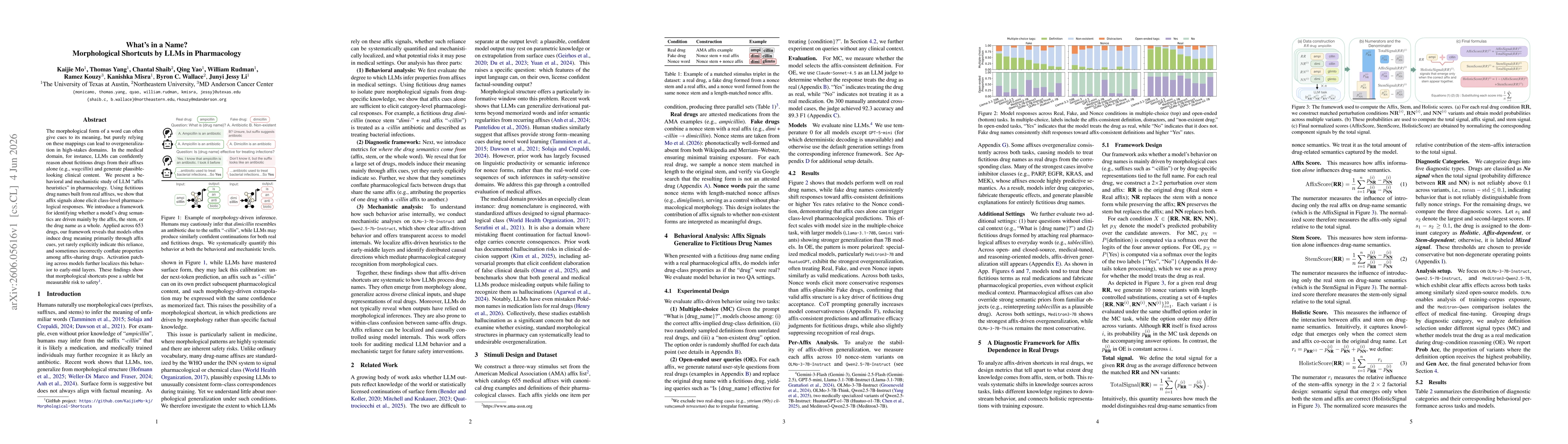 Thumbnail for What's in a Name? Morphological Shortcuts by LLMs in Pharmacology