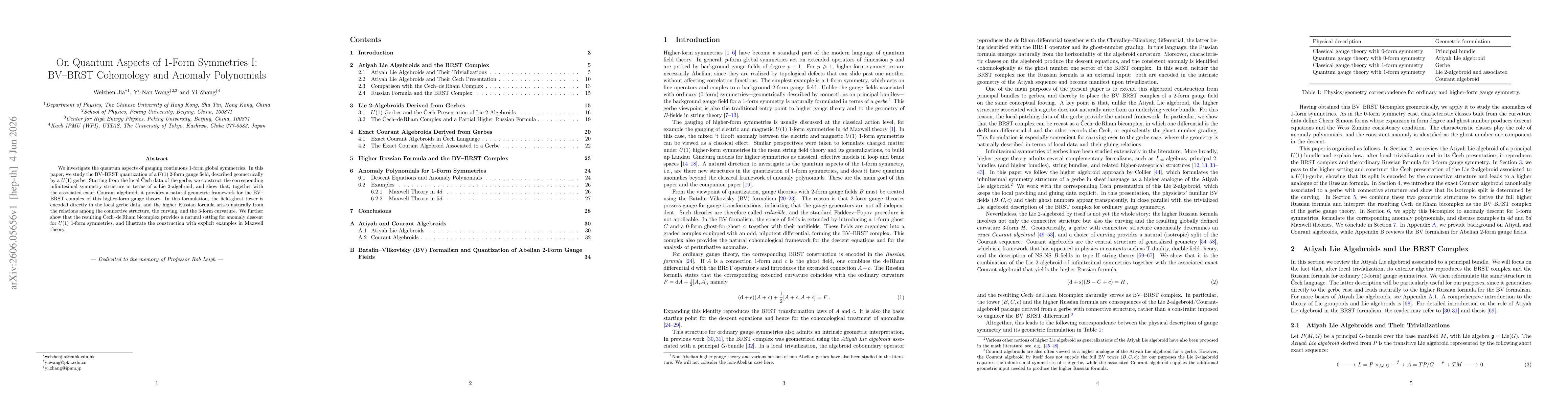 Thumbnail for On Quantum Aspects of 1-Form Symmetries I: BV-BRST Cohomology and Anomaly Polynomials