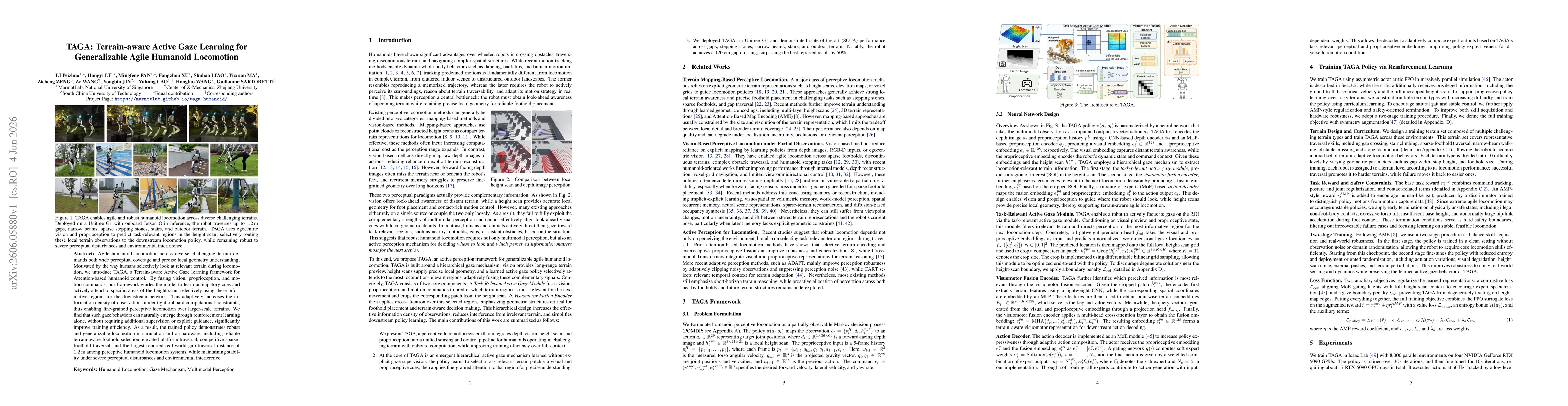 Thumbnail for TAGA: Terrain-aware Active Gaze Learning for Generalizable Agile Humanoid Locomotion