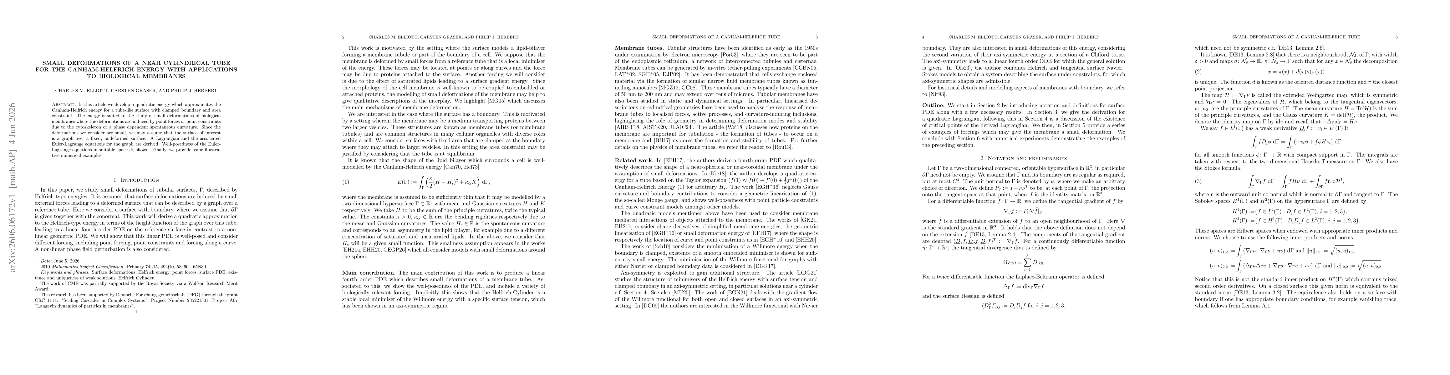Thumbnail for Small deformations of a near cylindrical tube for the Canham-Helfrich Energy with applications to biological membranes