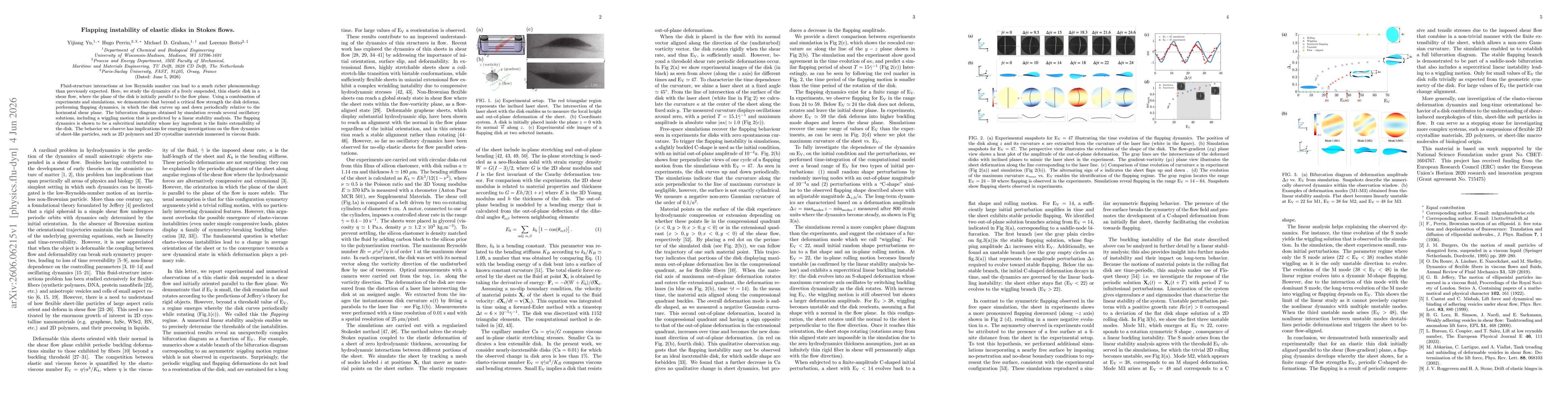 Thumbnail for Flapping instability of elastic disks in Stokes flows