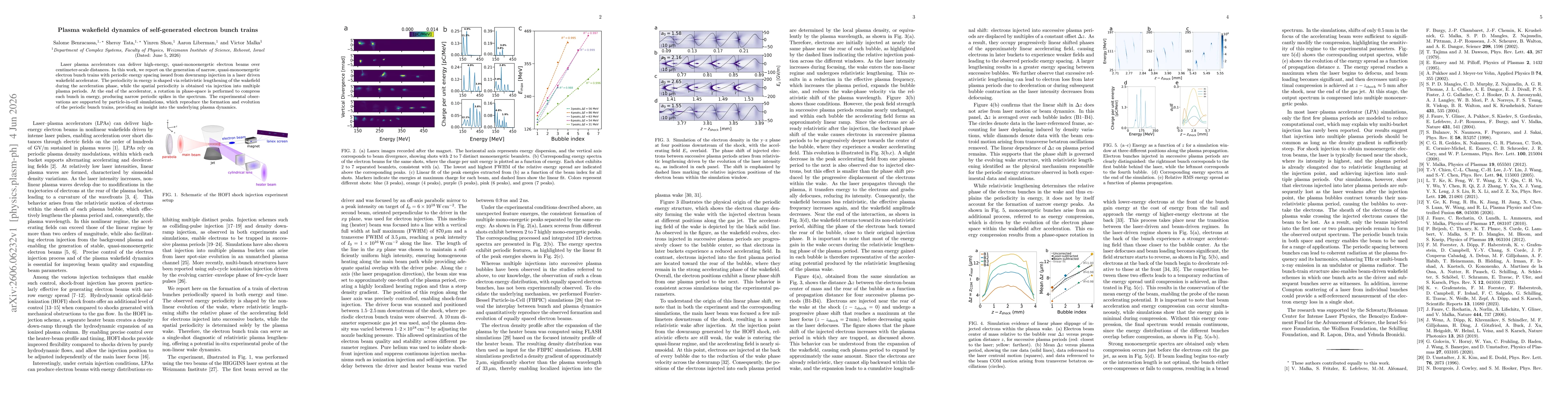 Thumbnail for Plasma wakefield dynamics of self-generated electron bunch trains