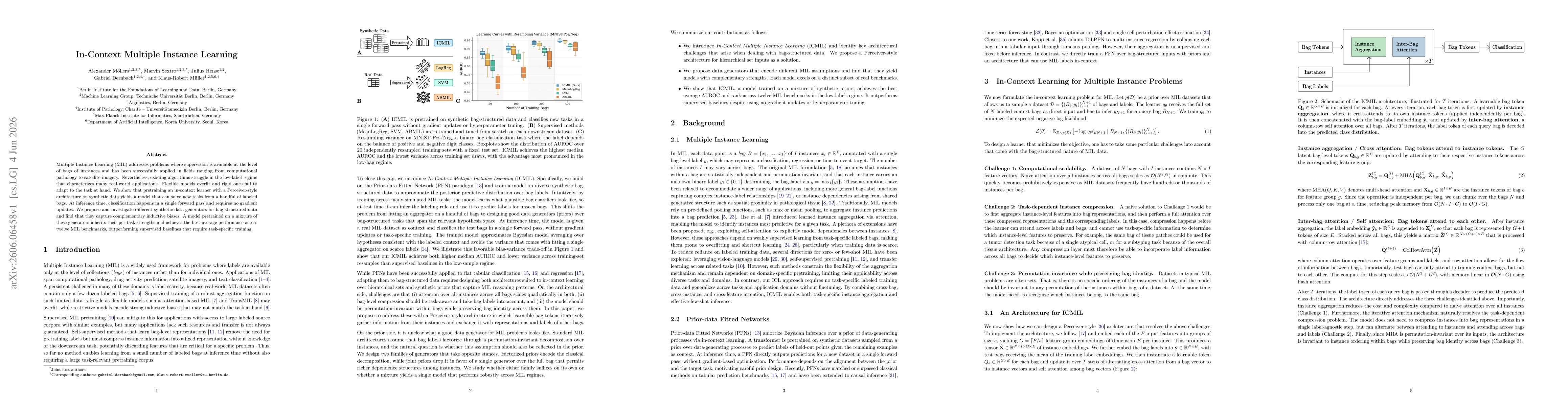 Thumbnail for In-Context Multiple Instance Learning