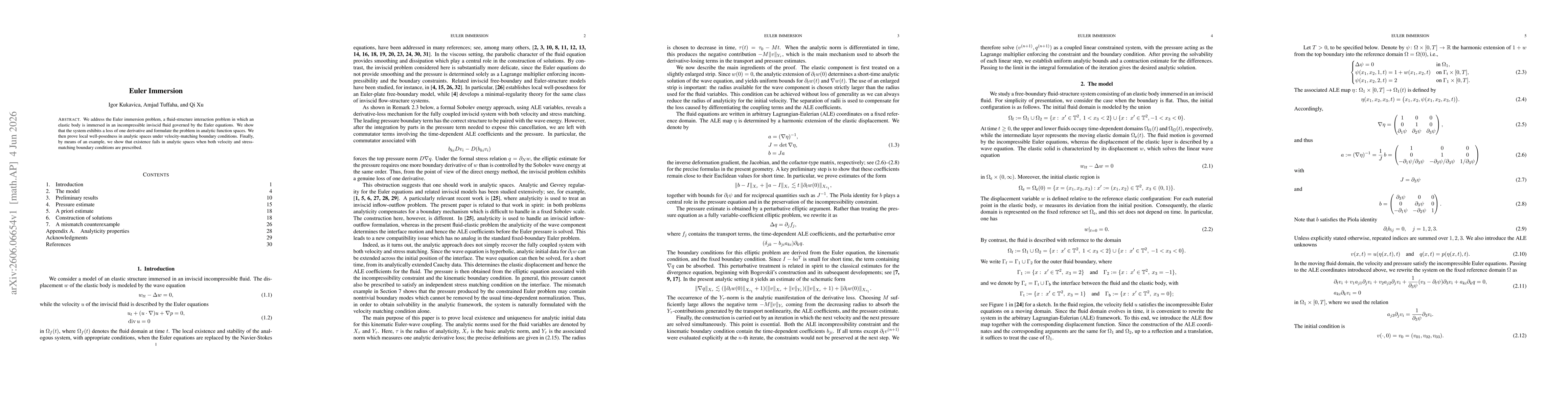 Thumbnail for Euler Immersion