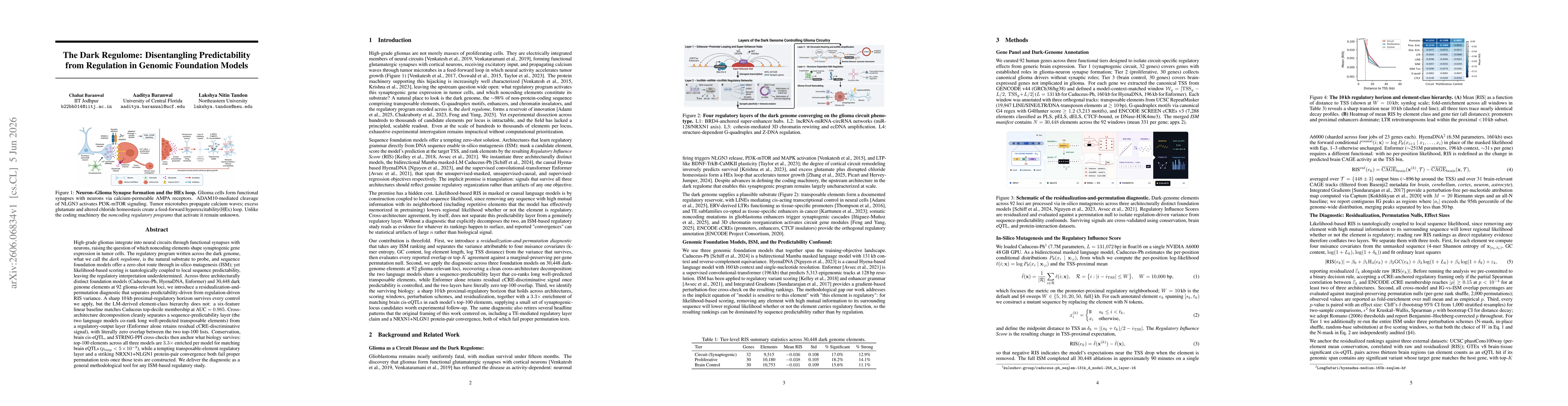 Thumbnail for The Dark Regulome: Disentangling Predictability from Regulation in Genomic Foundation Models