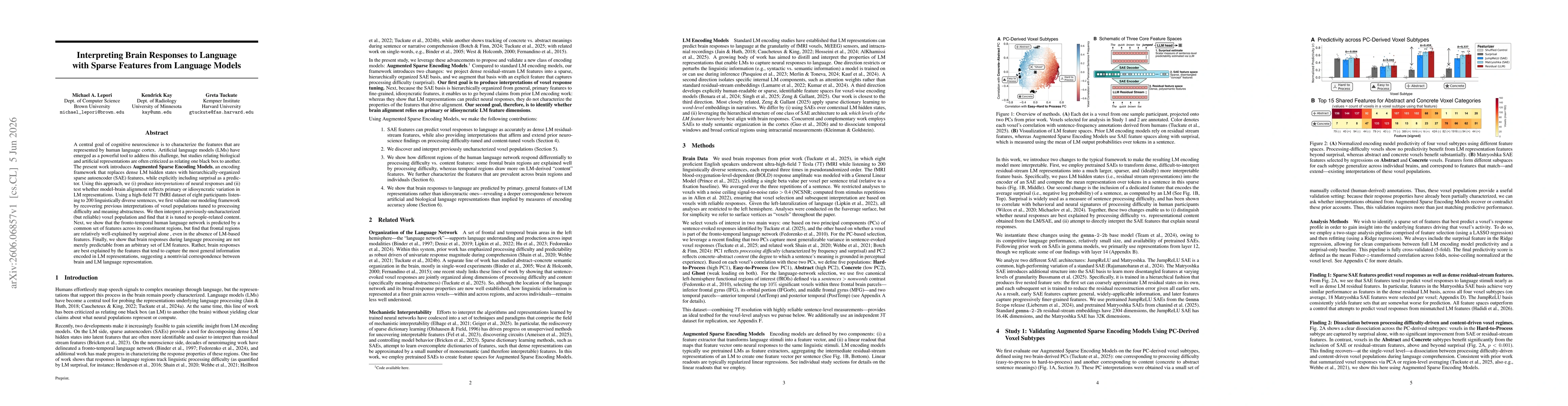 Thumbnail for Interpreting Brain Responses to Language with Sparse Features from Language Models