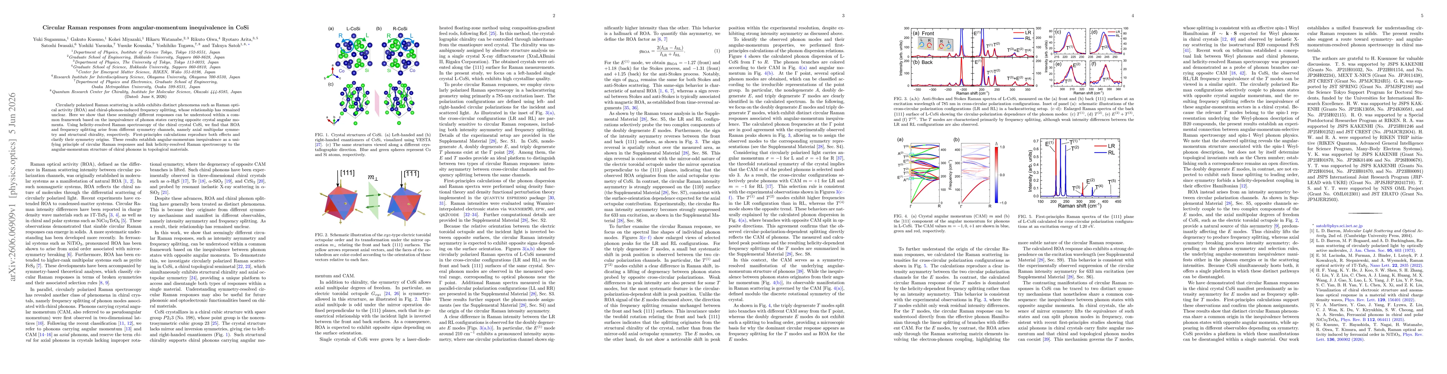 Thumbnail for Circular Raman responses from angular-momentum inequivalence in CoSi