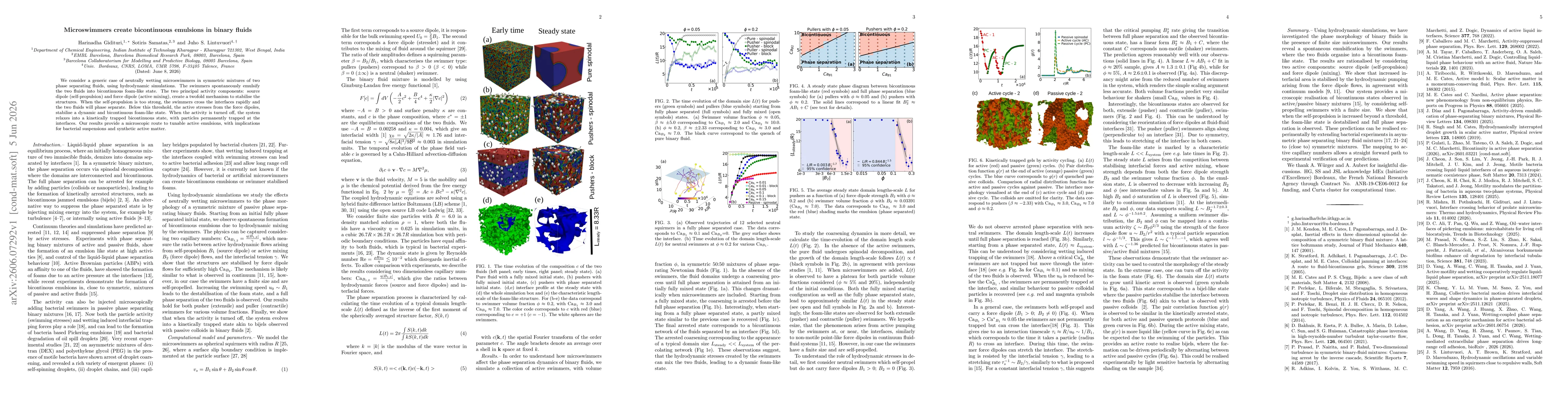 Thumbnail for Microswimmers create bicontinuous emulsions in binary fluids