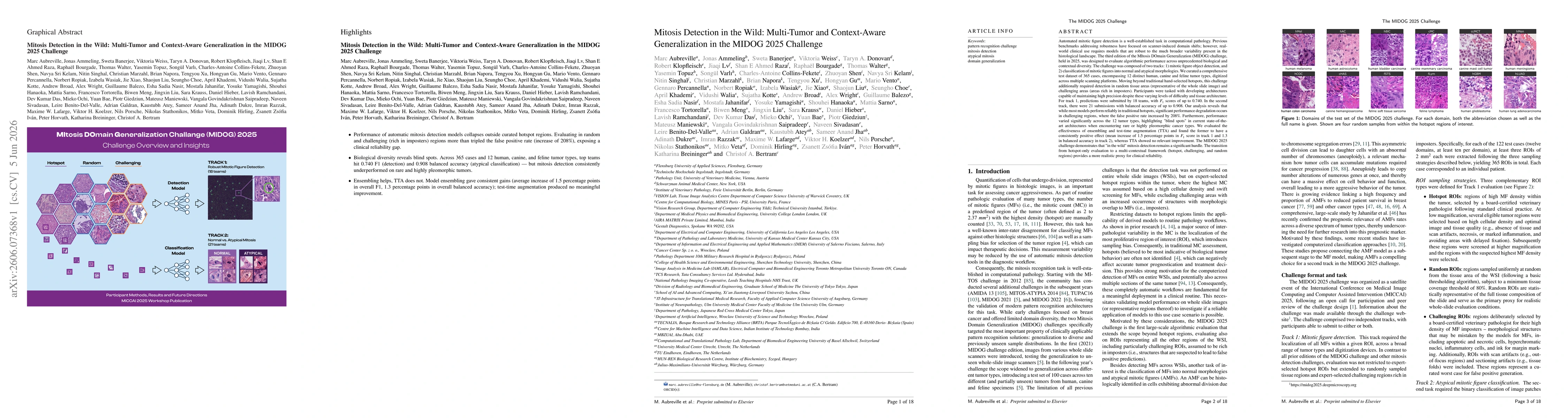 Thumbnail for Mitosis Detection in the Wild: Multi-Tumor and Context-Aware Generalization in the MIDOG 2025 Challenge
