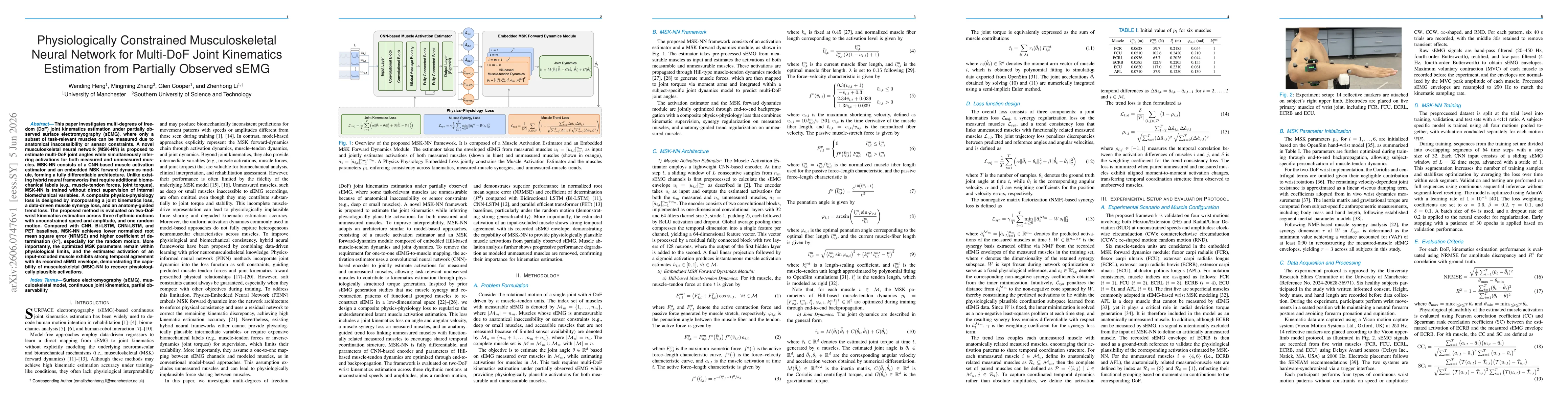 Thumbnail for Physiologically Constrained Musculoskeletal Neural Network for Multi-DoF Joint Kinematics Estimation from Partially Observed sEMG