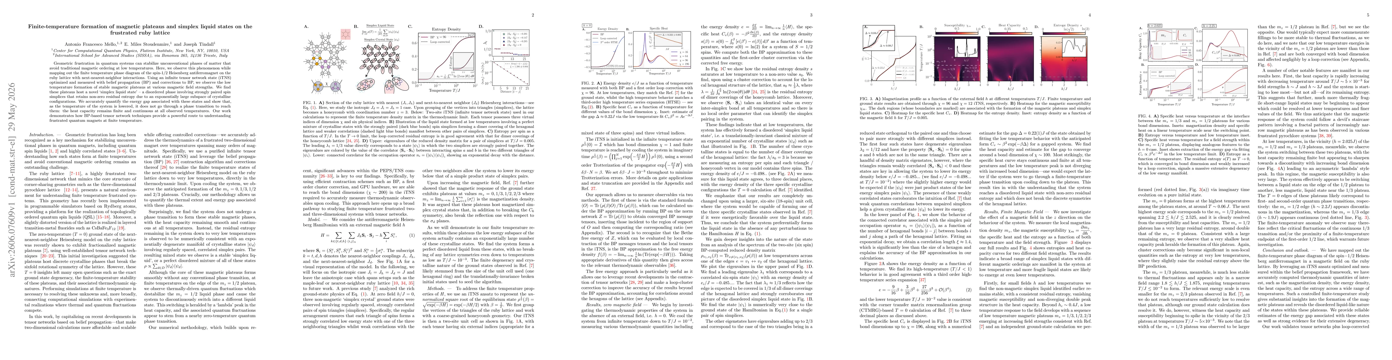 Thumbnail for Finite-temperature formation of magnetic plateaus and simplex liquid states on the frustrated ruby lattice