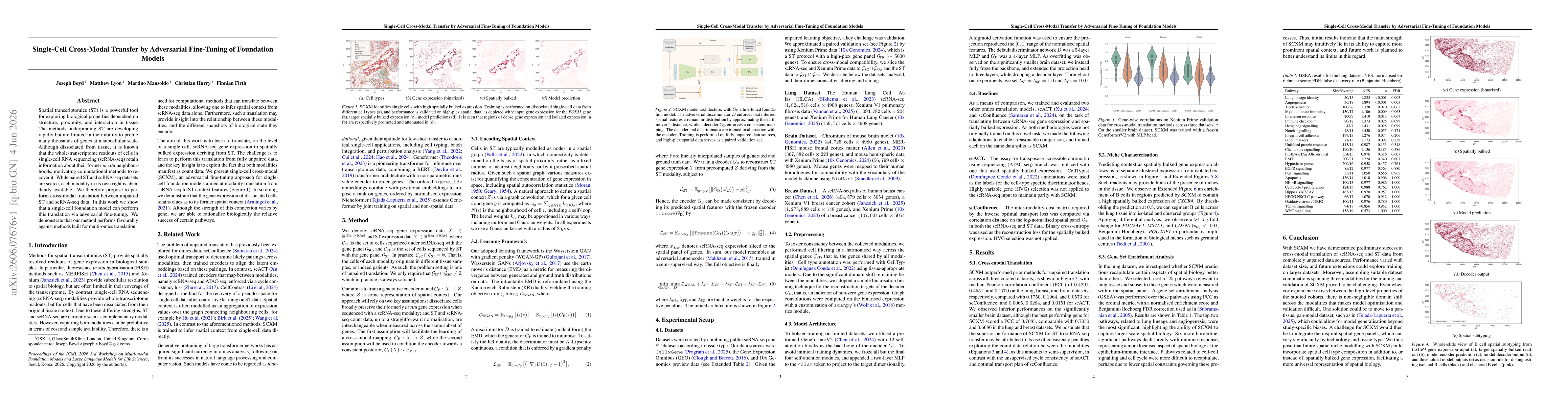 Thumbnail for Single-Cell Cross-Modal Transfer by Adversarial Fine-Tuning of Foundation Models