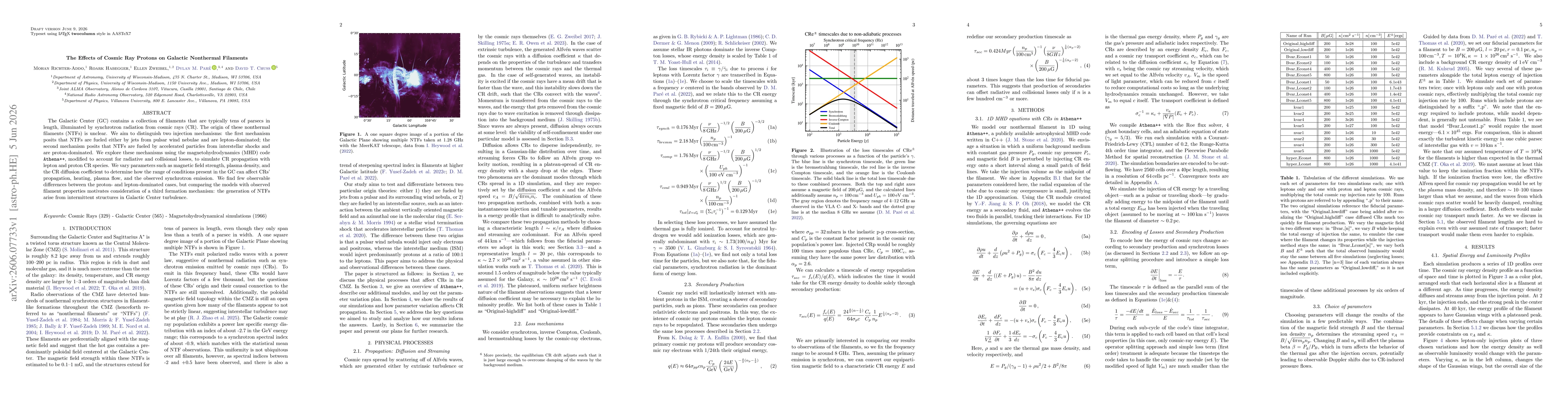 Thumbnail for The Effects of Cosmic Ray Protons on Galactic Nonthermal Filaments