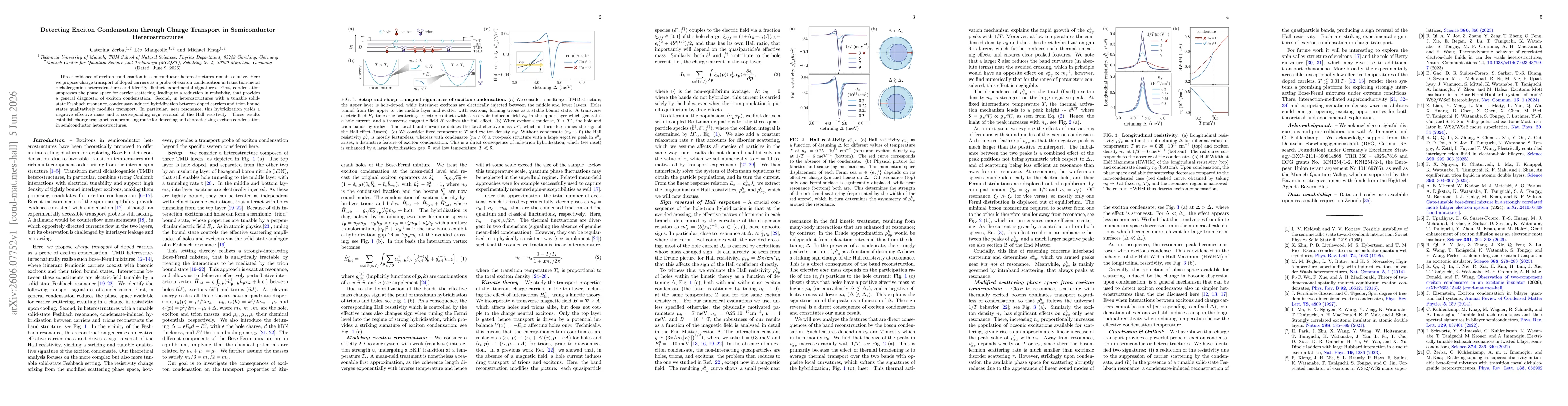 Thumbnail for Detecting Exciton Condensation through Charge Transport in Semiconductor Heterostructures