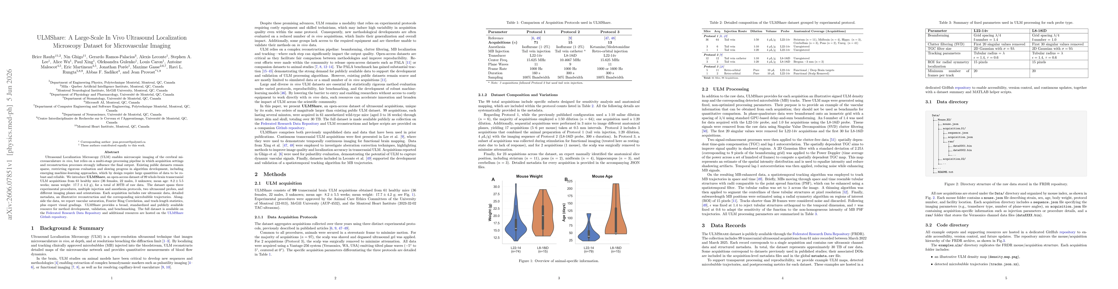Thumbnail for ULMShare: A Large-Scale In Vivo Ultrasound Localization Microscopy Dataset for Microvascular Imaging