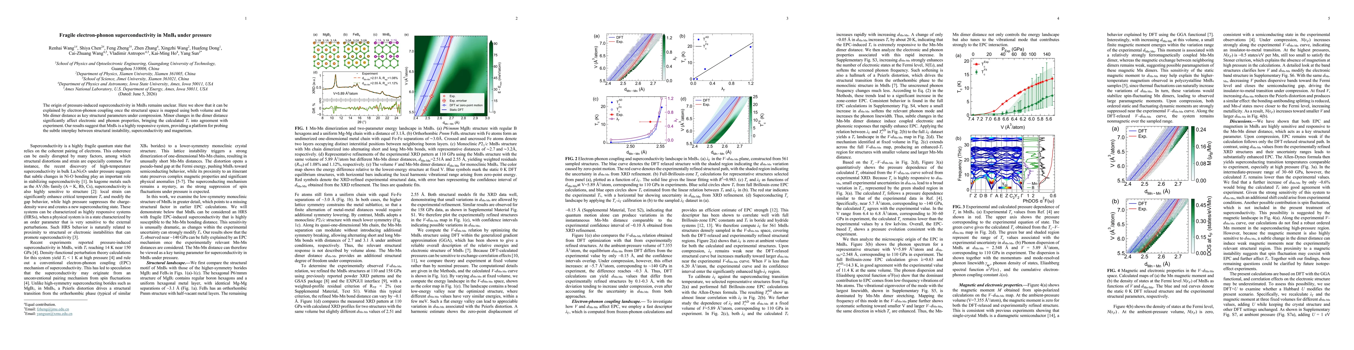 Thumbnail for Fragile electron-phonon superconductivity in MnB4 under pressure