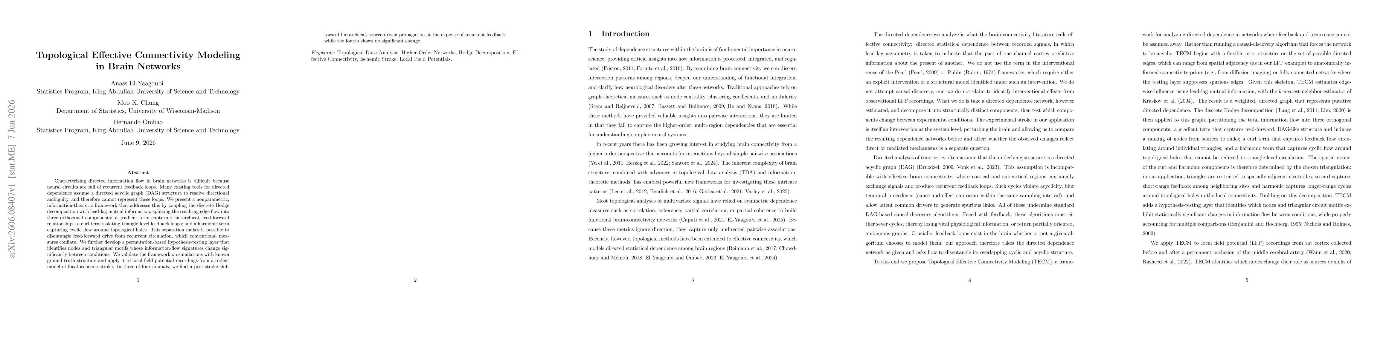 Thumbnail for Topological Effective Connectivity Modeling in Brain Networks