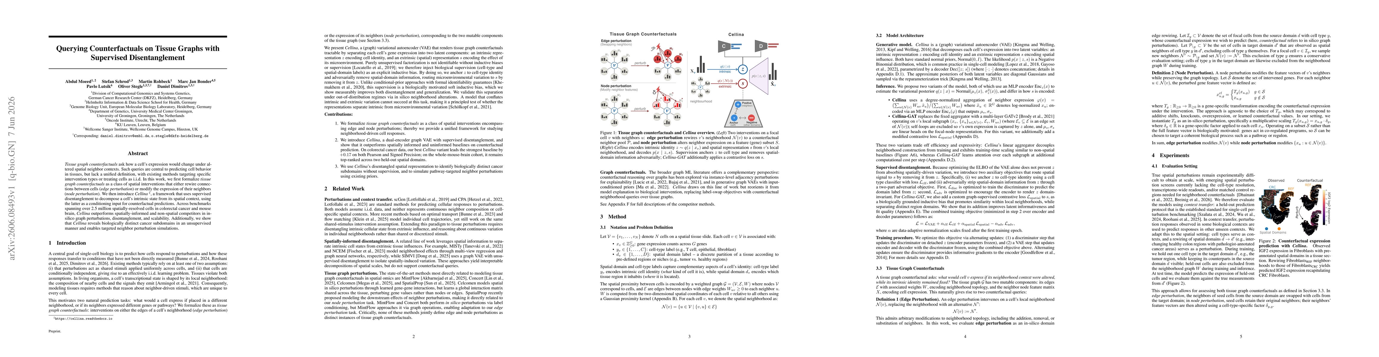 Thumbnail for Querying Counterfactuals on Tissue Graphs with Supervised Disentanglement