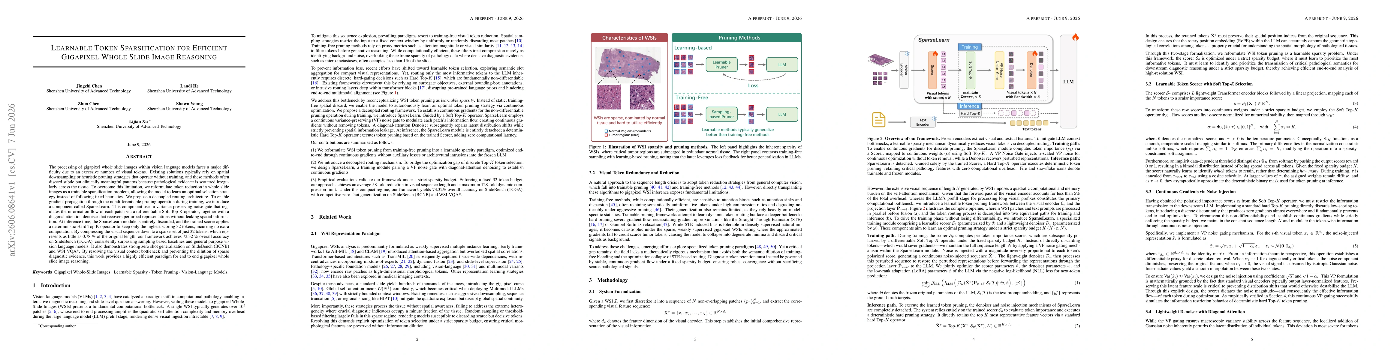 Thumbnail for Learnable Token Sparsification for Efficient Gigapixel Whole Slide Image Reasoning