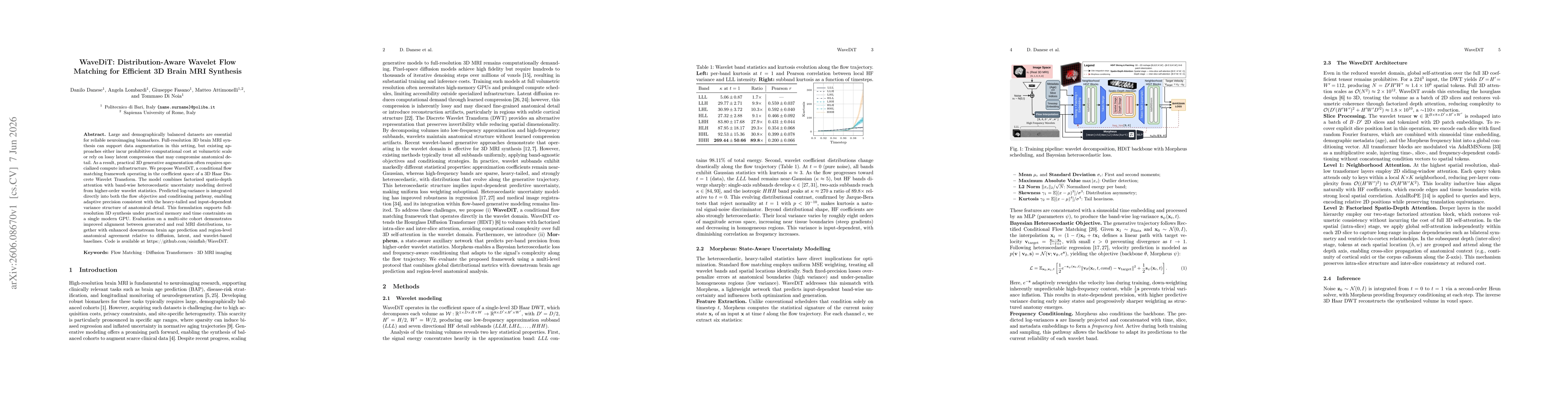 Thumbnail for WaveDiT: Distribution-Aware Wavelet Flow Matching for Efficient 3D Brain MRI Synthesis