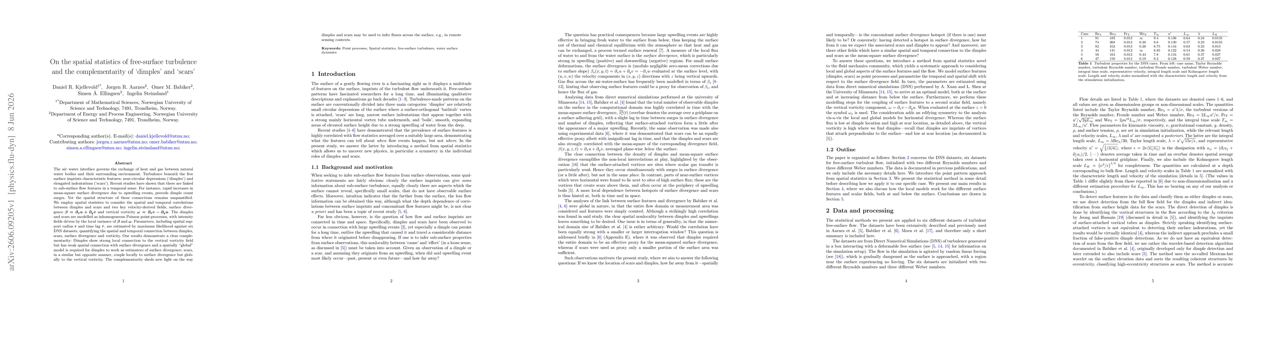 Thumbnail for On the spatial statistics of free-surface turbulence and the complementarity of 'dimples' and 'scars'