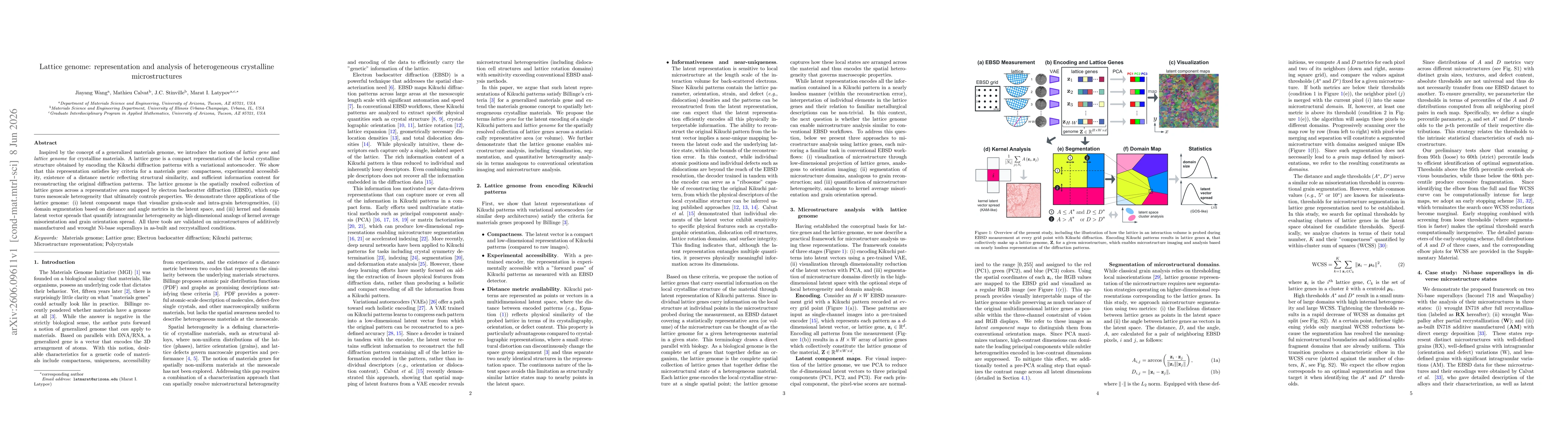 Thumbnail for Lattice genome: representation and analysis of heterogeneous crystalline microstructures