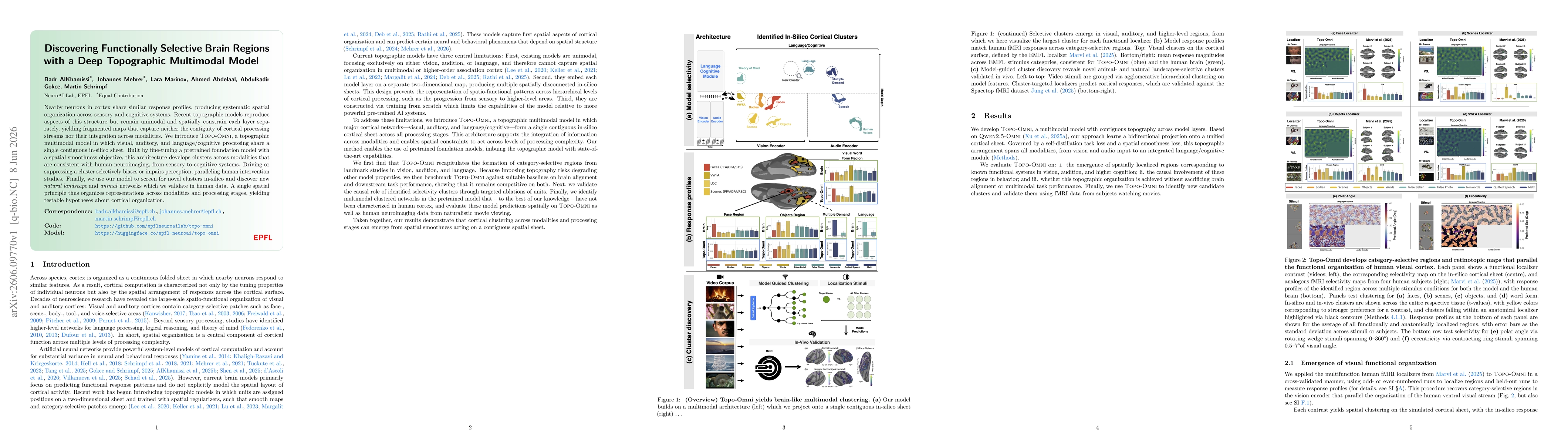 Thumbnail for Discovering Functionally Selective Brain Regions with a Deep Topographic Multimodal Model