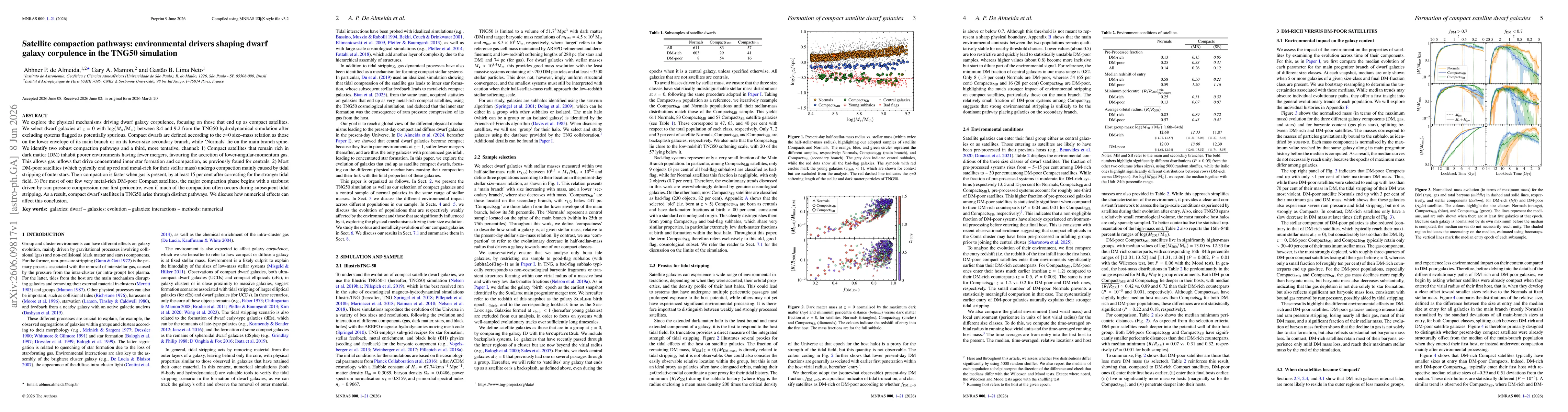 Thumbnail for Satellite compaction pathways: environmental drivers shaping dwarf galaxy corpulence in the TNG50 simulation