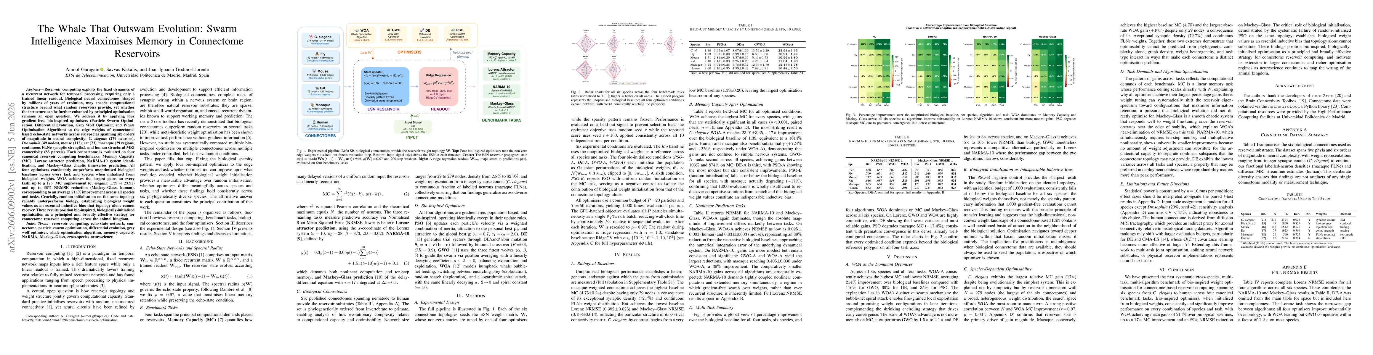 Thumbnail for The Whale That Outswam Evolution: Swarm Intelligence Maximises Memory in Connectome Reservoirs