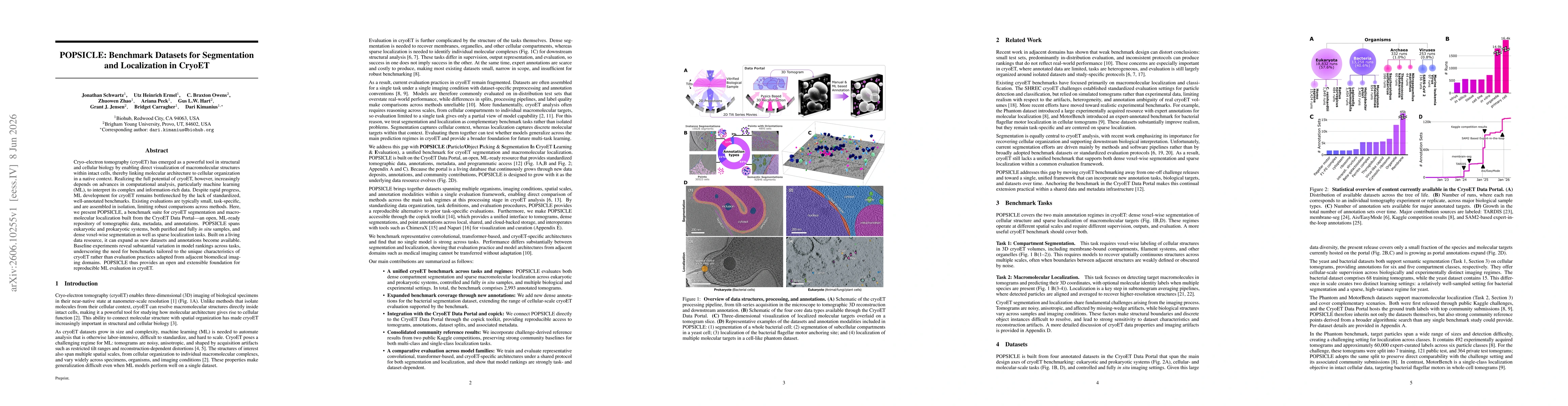 Thumbnail for POPSICLE: Benchmark Datasets for Segmentation and Localization in CryoET