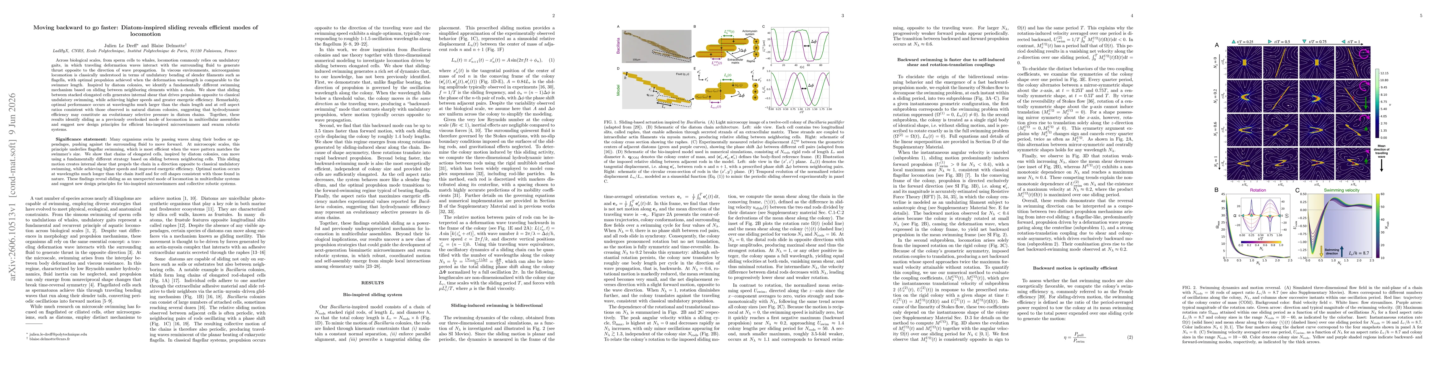Thumbnail for Moving backward to go faster: Diatom-inspired sliding reveals efficient modes of locomotion