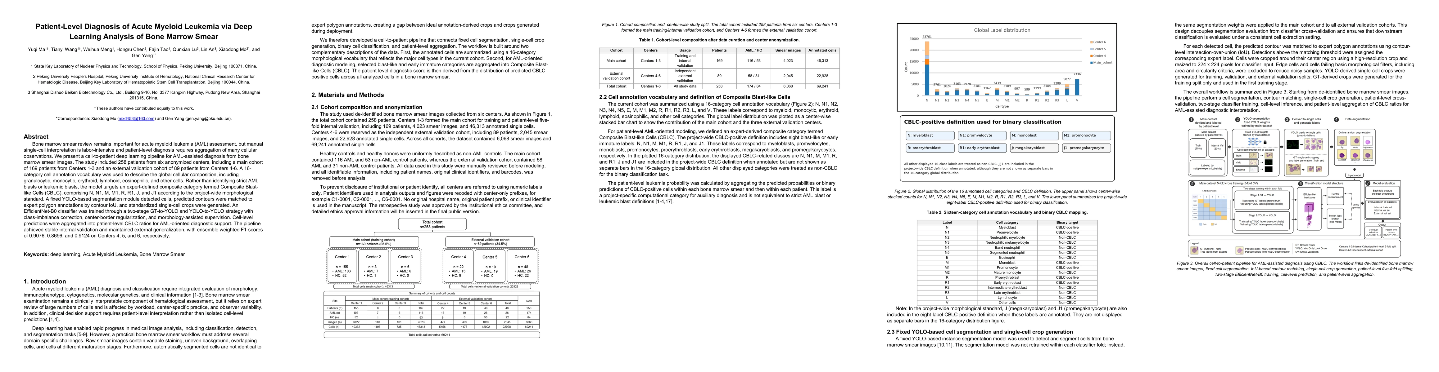 Thumbnail for Patient-Level Diagnosis of Acute Myeloid Leukemia via Deep Learning Analysis of Bone Marrow Smear
