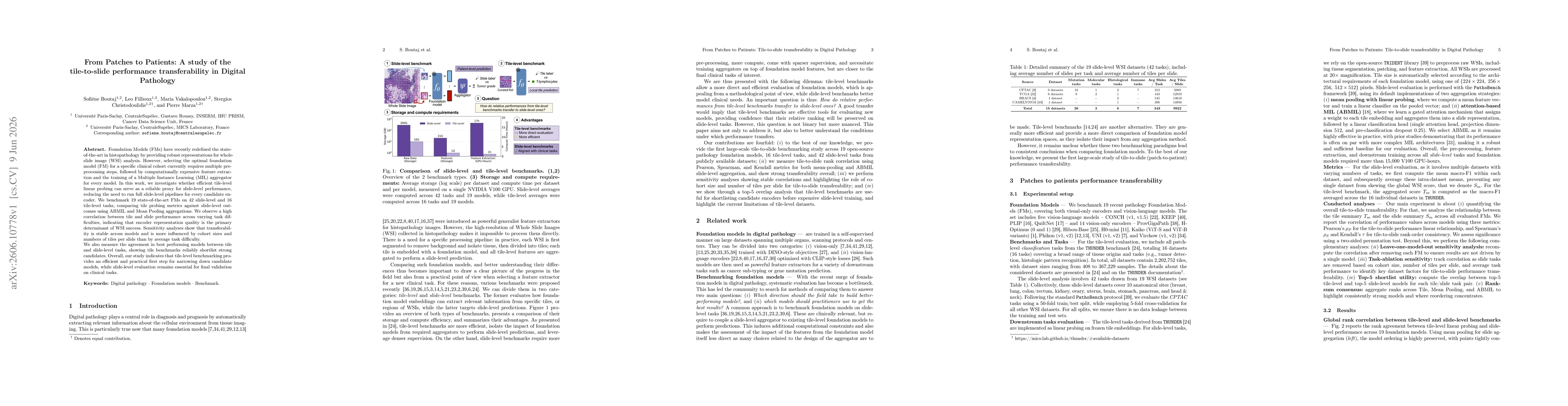Thumbnail for From Patches to Patients: A study of the tile-to-slide performance transferability in Digital Pathology